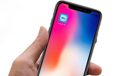 Application Dynamic95